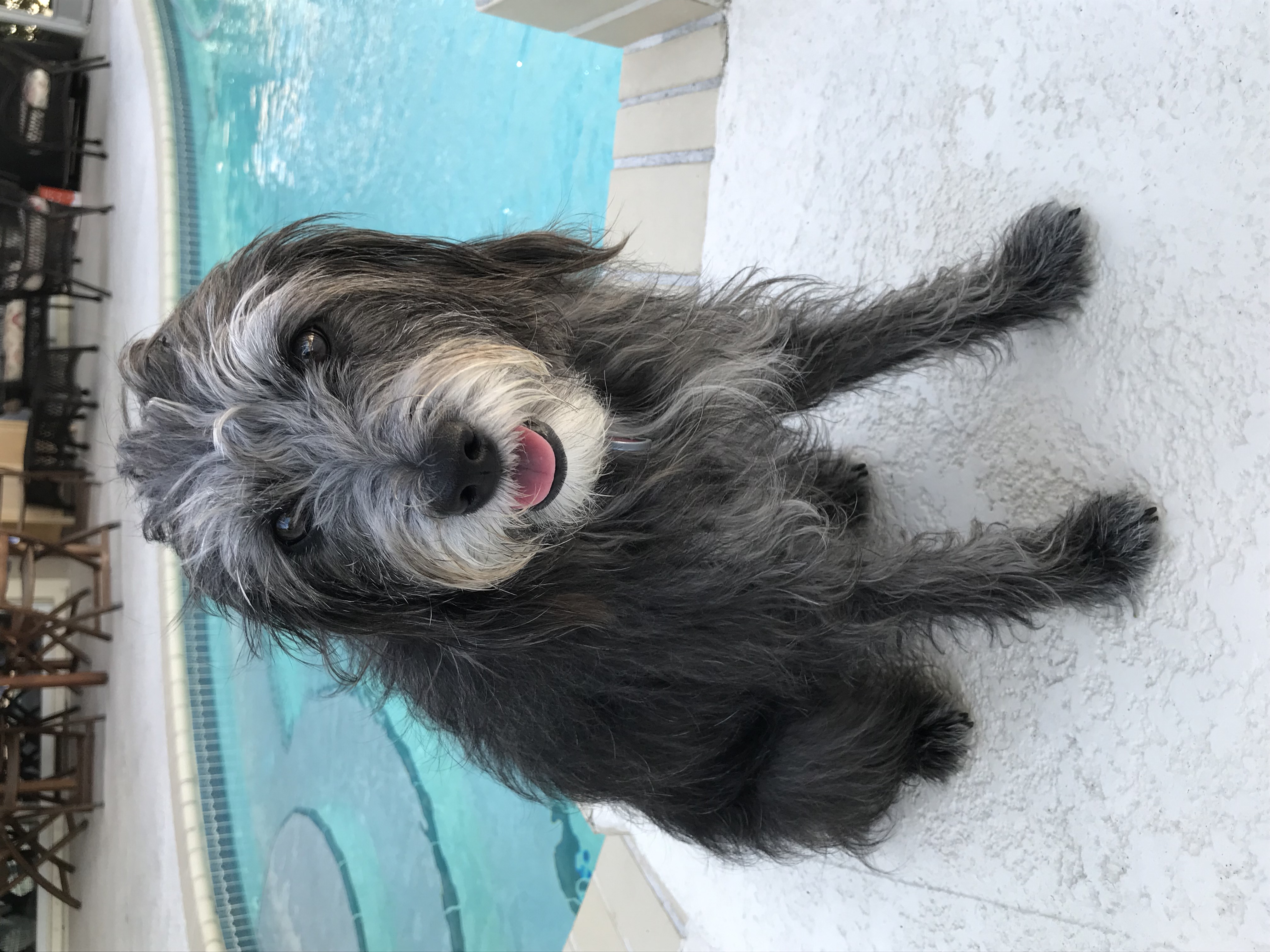 ./2018/13 - Miami/IMG_7807.JPG